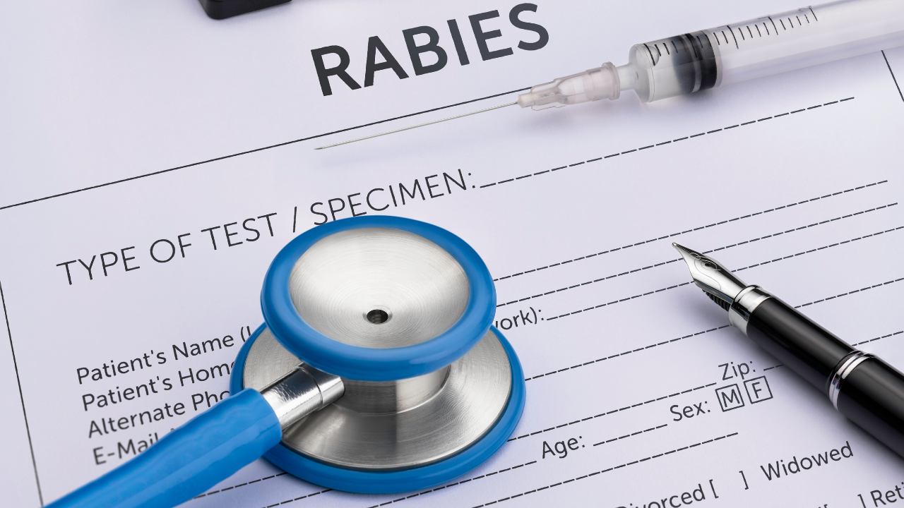 Hyderabad doctor explains whether rabies can spread through milk and ...