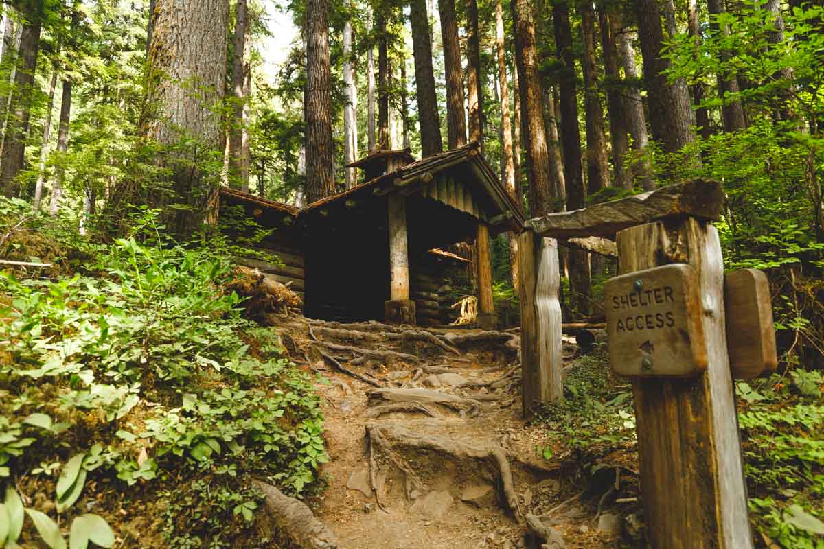 Sol Duc Falls is a 0.8-mile walk through old-growth forest, and the ...