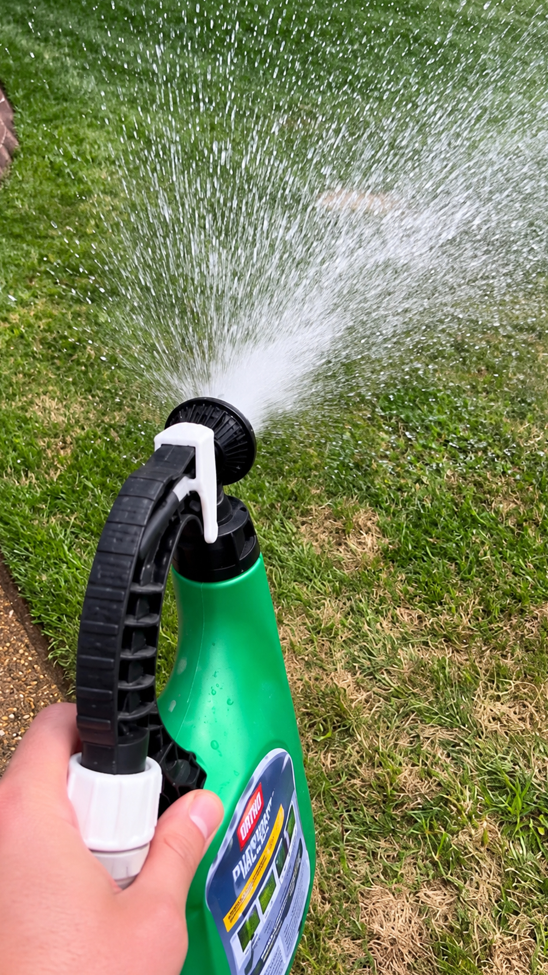 The easiest way to kill stubborn lawn weeds