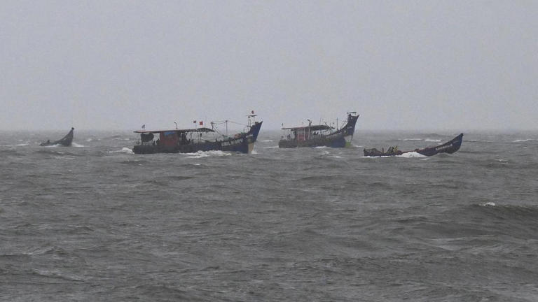 Juvenile fishing rampant, Keralam fishers call for revision of minimum size