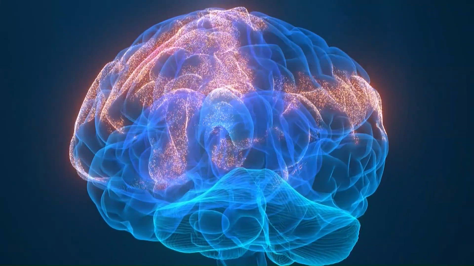 Why some people love being scared: The science behind fear