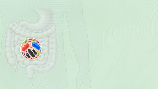 For new drugs, scientists turn to the microbes inside the body