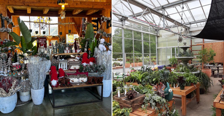 Holiday shoppers walk into a different world when this Missouri nursery ...