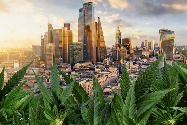 Is it time for London to legalise cannabis?