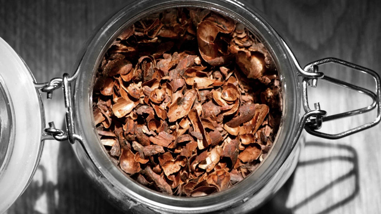 Cocoa husk trials questioned: Nigerian studies show yield gains ...