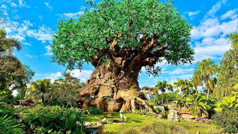 Tree of Life Awakenings return to Animal Kingdom on Nov. 1