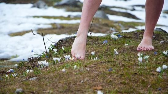 Everyday explained: Why your feet feel colder than the rest of your ...