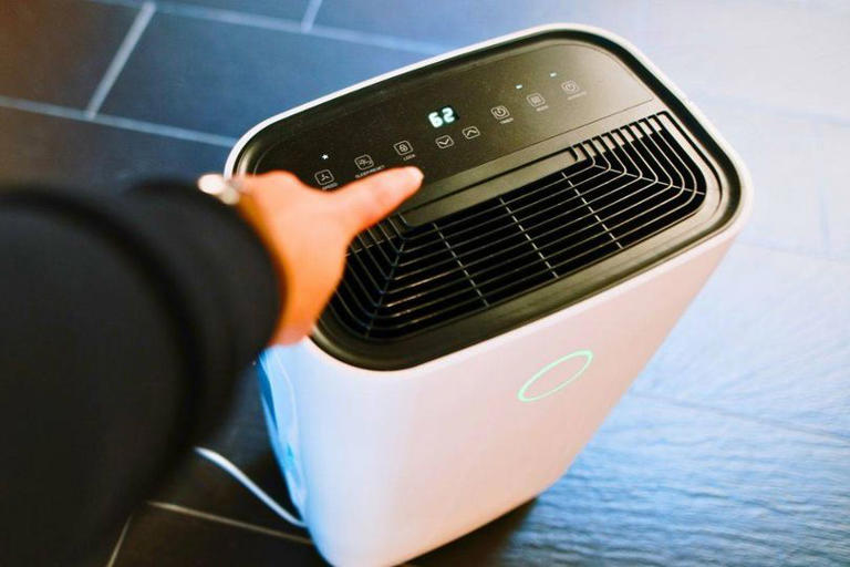 Dehumidifiers will defeat damp and dry clothes faster after simple 1 ...