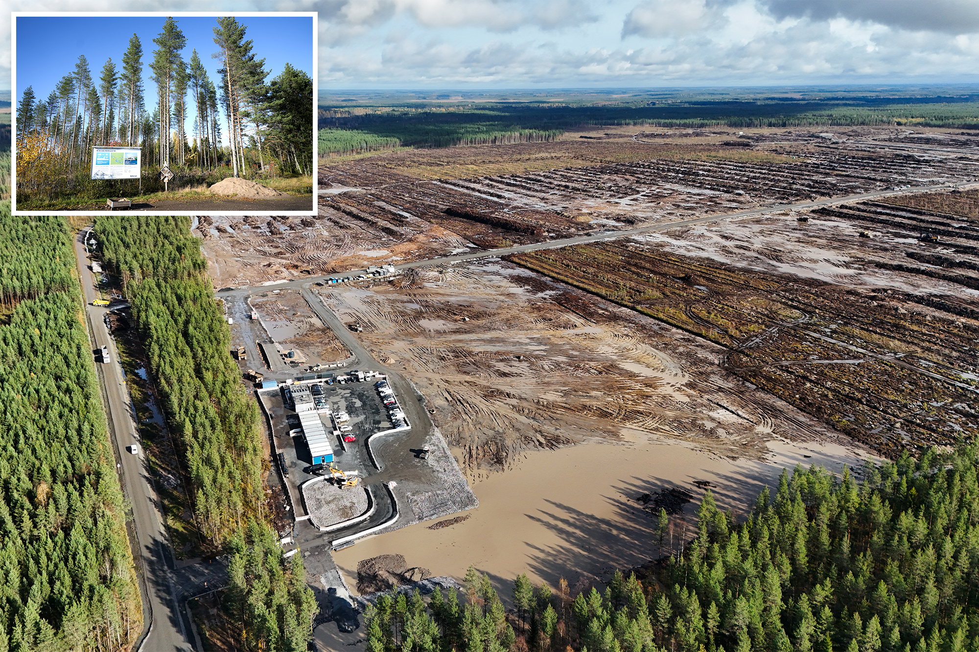 Google illegally cut down 250K trees in Finland for data center ...