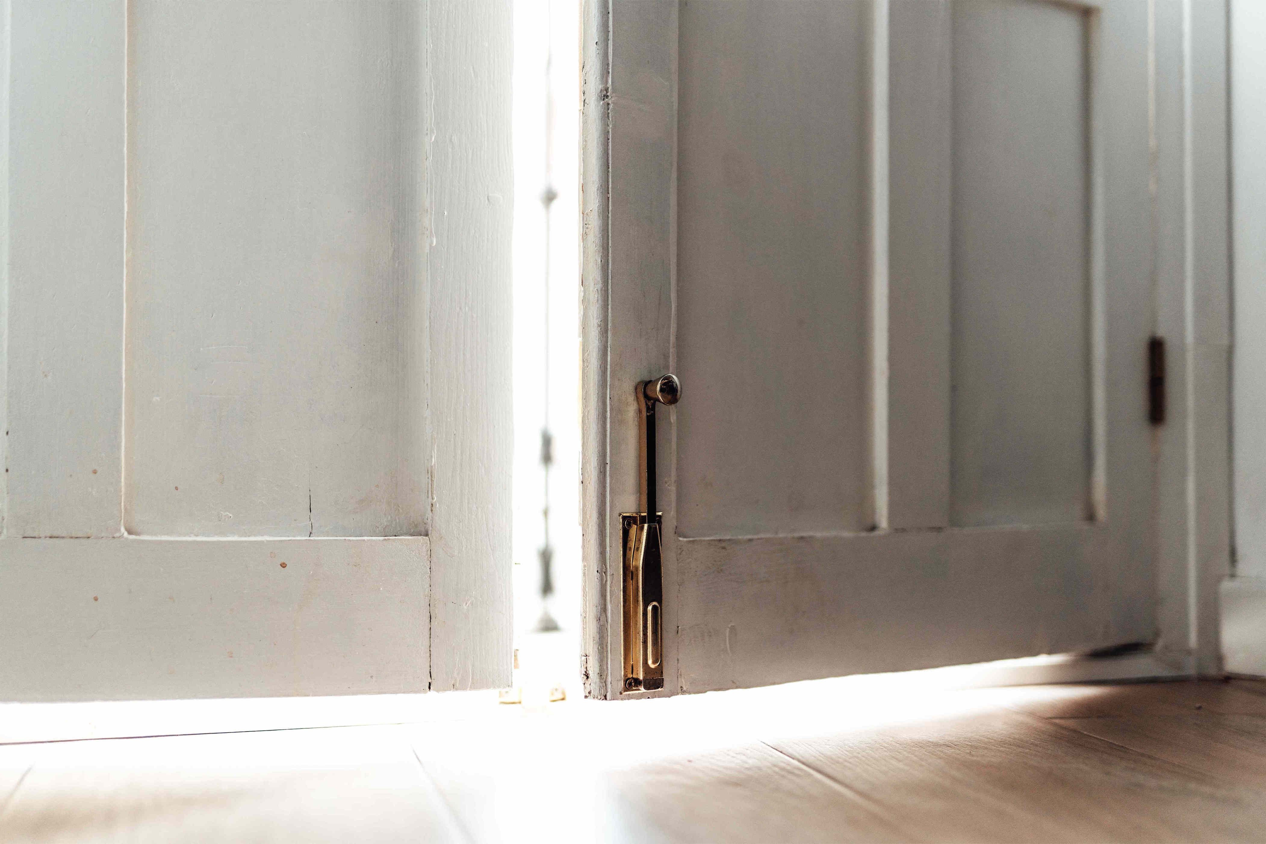 Pest control experts and contractors swear by door sweeps for different ...