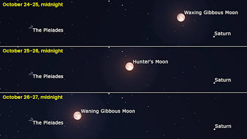 Look up! The Hunter's Moon lights up our night skies this weekend