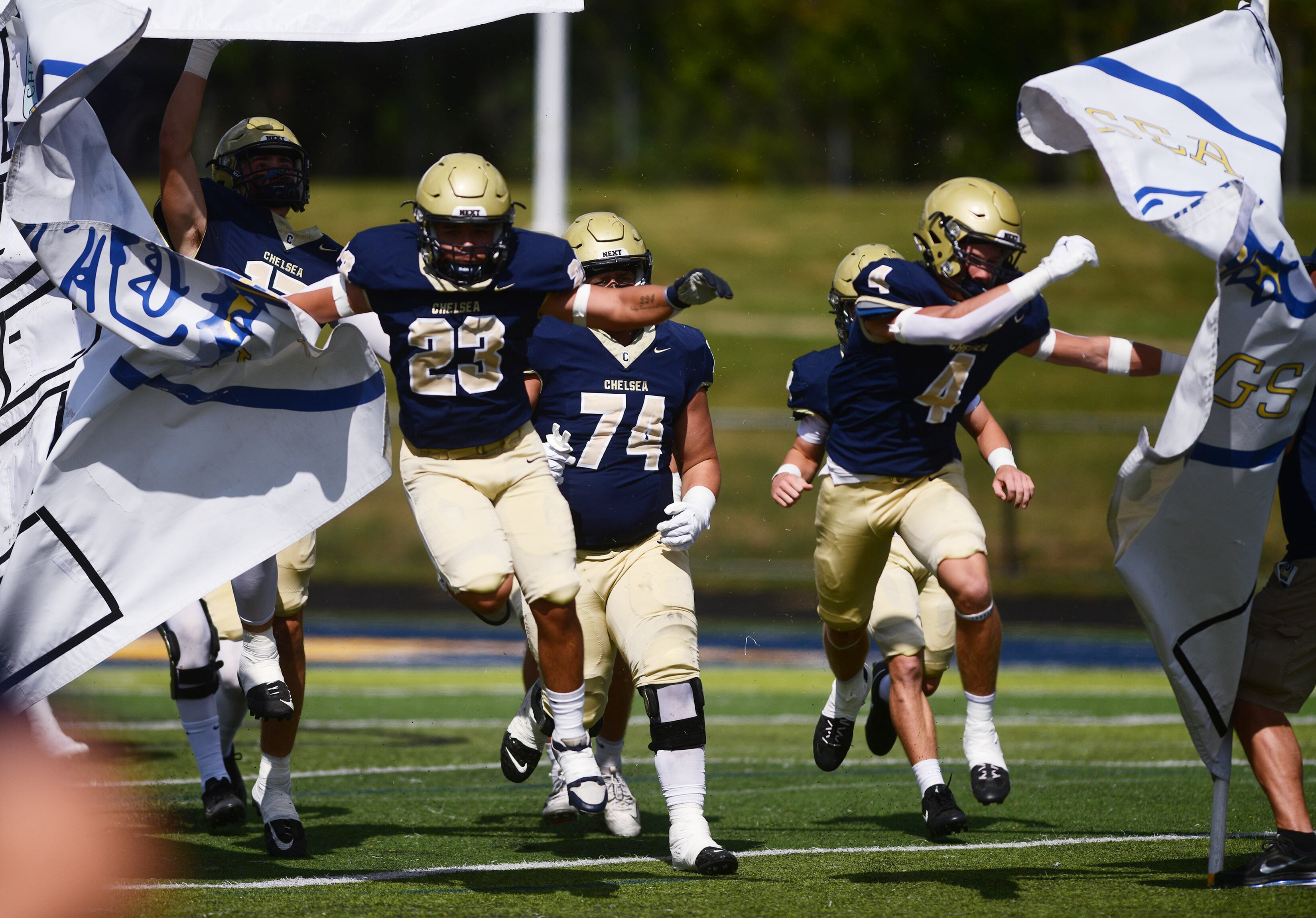 Ann Arbor-area high school football scoreboard for week 9