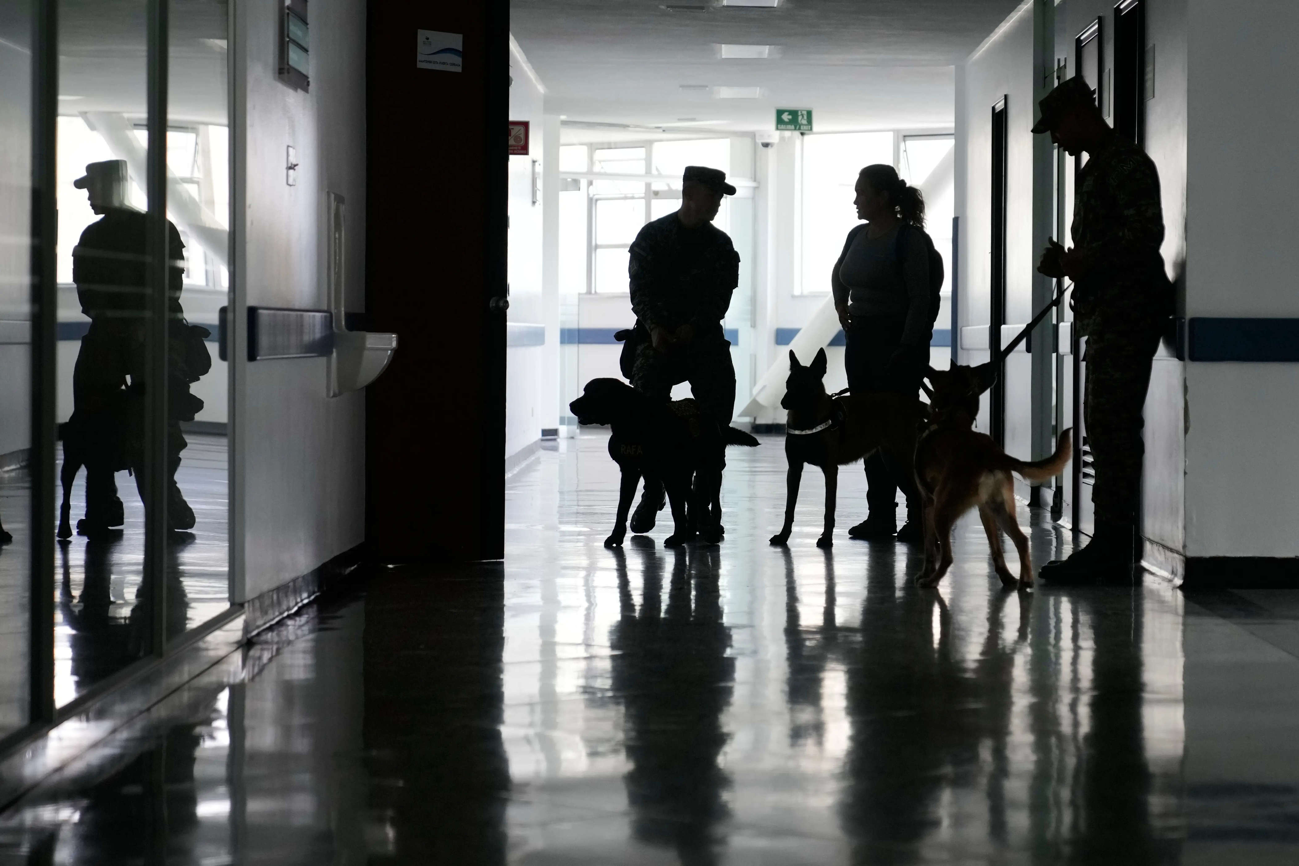 US military has a 'dog problem' that goes to Europe, Palmer Luckey has ...