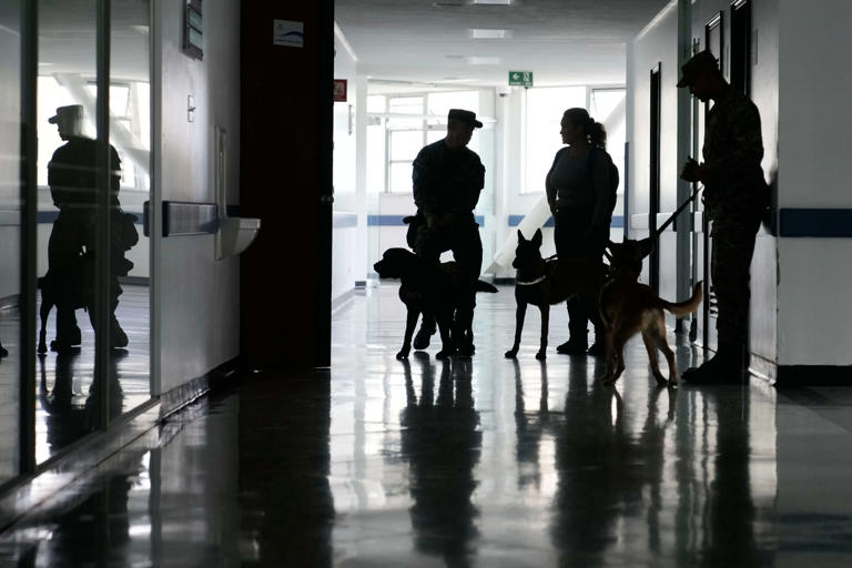 US military has a 'dog problem' that goes to Europe, Palmer Luckey has ...