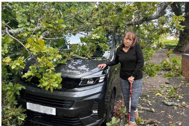 Residents scared for their lives after tree brought down in storm