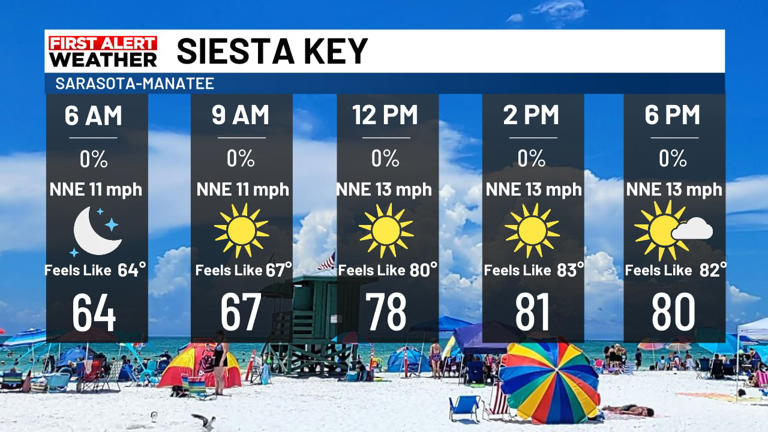 Farmers markets Saturday forecast