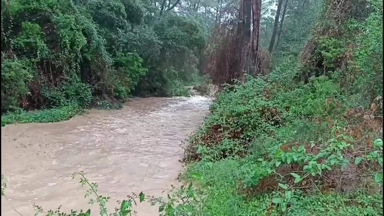 Flash floods sweep through a rural road as muddy water surges across ...