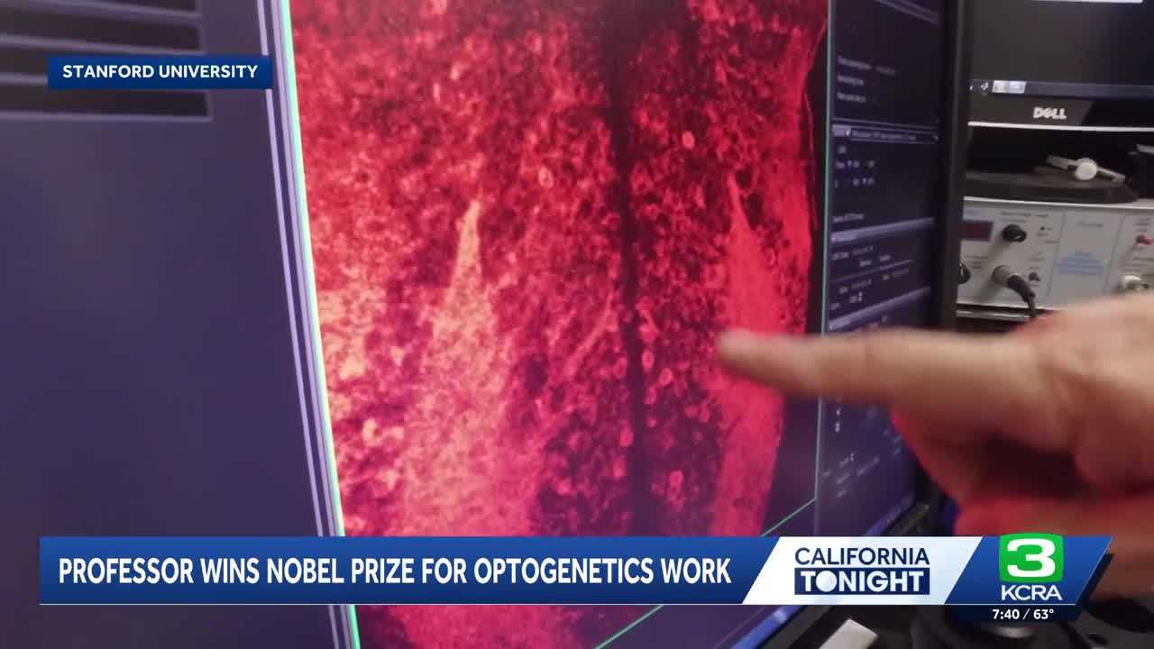 Stanford scientist discusses Nobel Prize-winning work in neuroscience