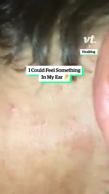 I could feel something in my ear