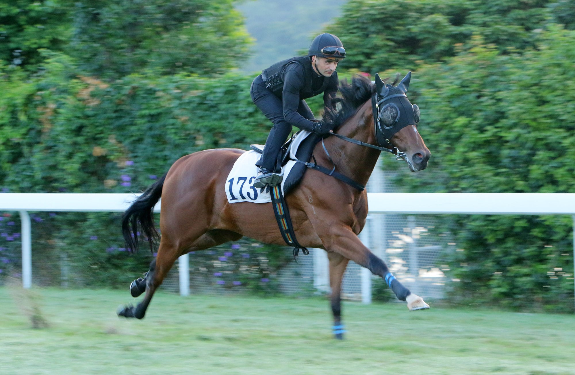 Andrea Atzeni optimistic Crimson Flash will relish rise in trip in ...