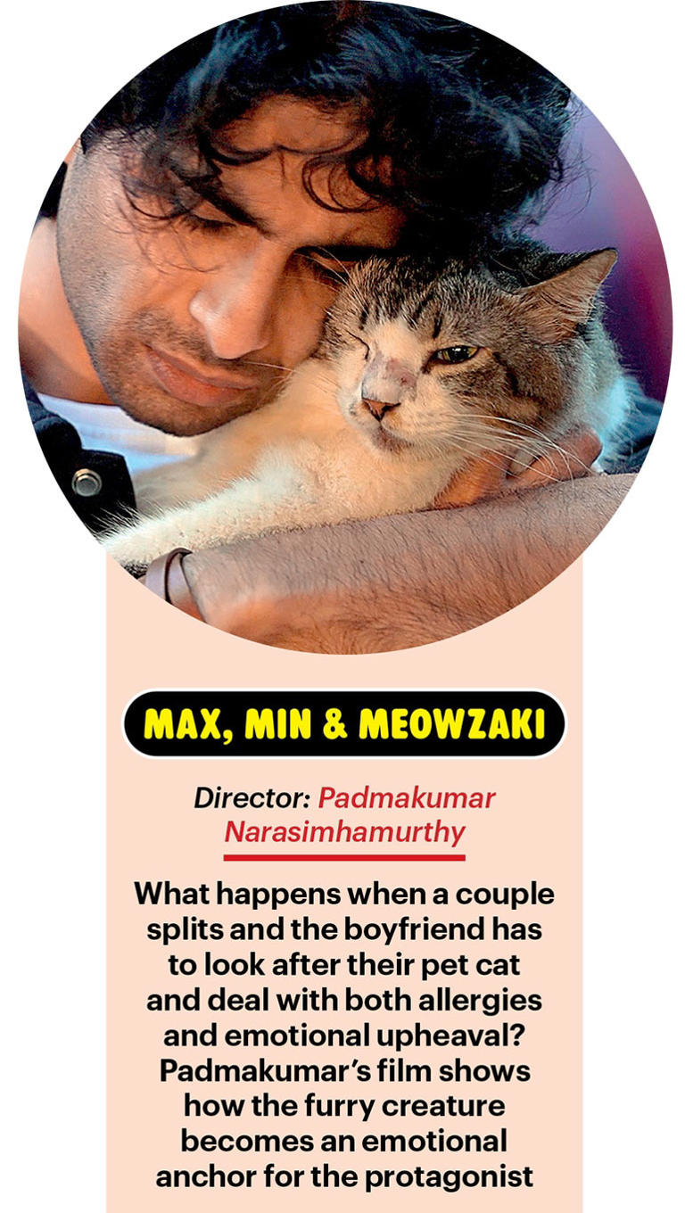 Filmdom's new pet obsession | Animals in films