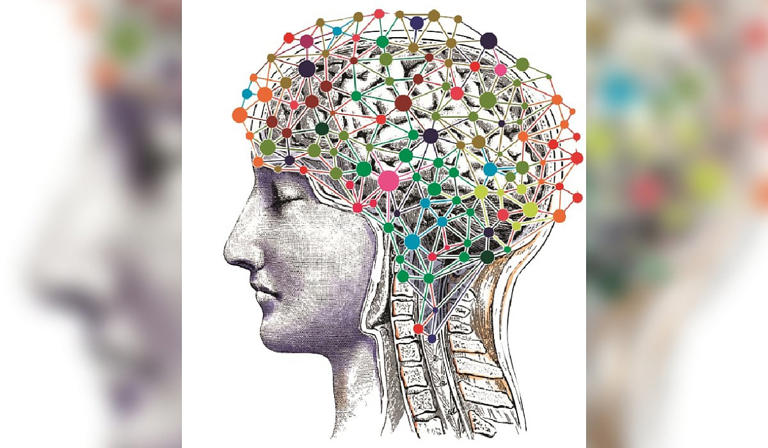 Environmental changes can alter brain, impact mental health: report