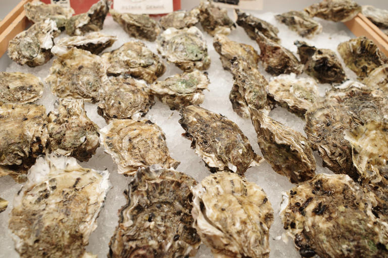 Raw oyster recall expanded to 15 states due to salmonella
