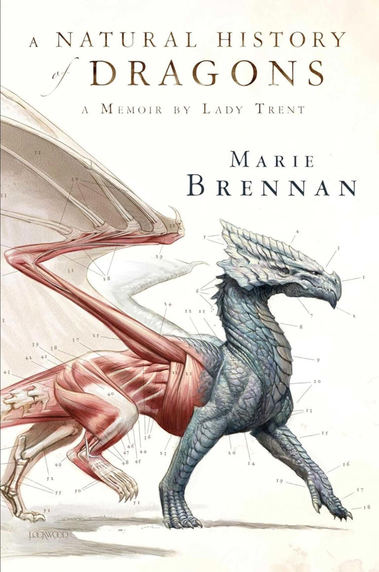 10 best books about human/dragon bonds that pre-date Fourth Wing