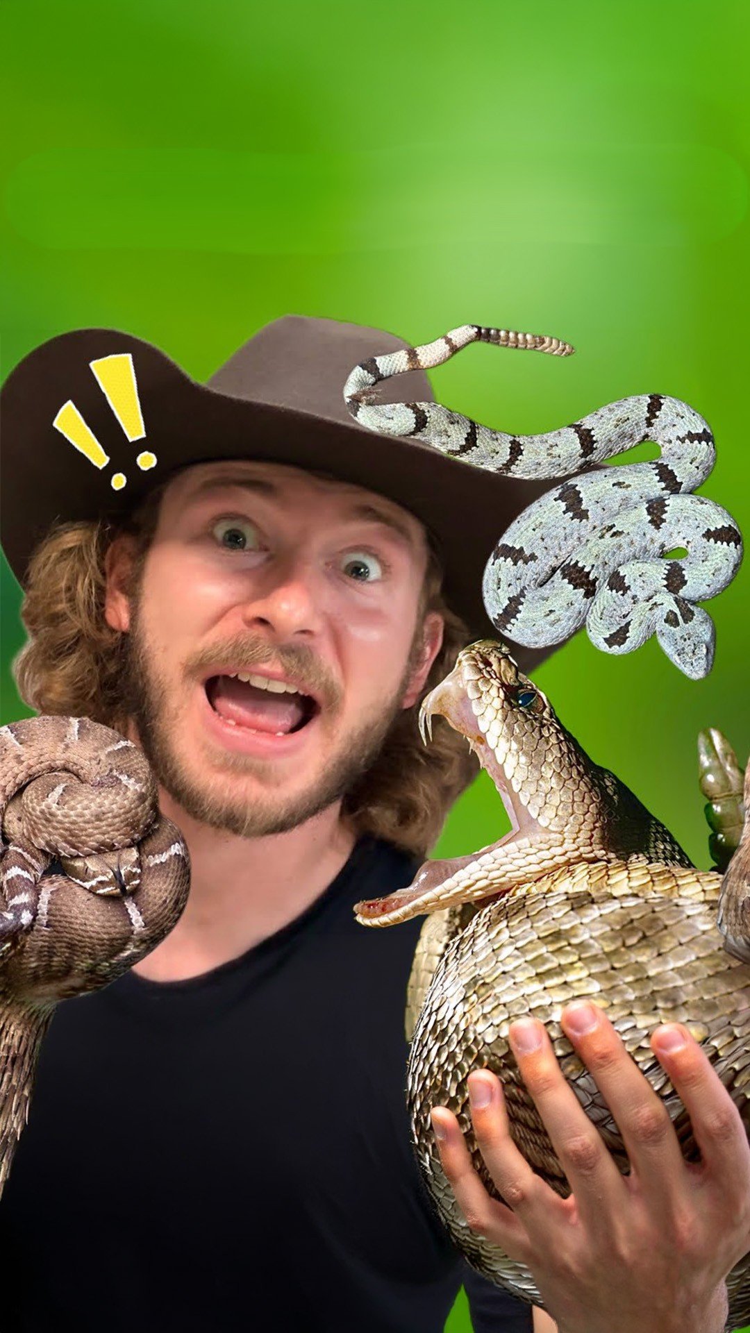 Six rattlesnake species observed in 24 hours