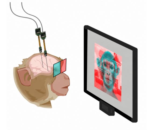 Your brain may be switching between two versions of reality 15 times a ...