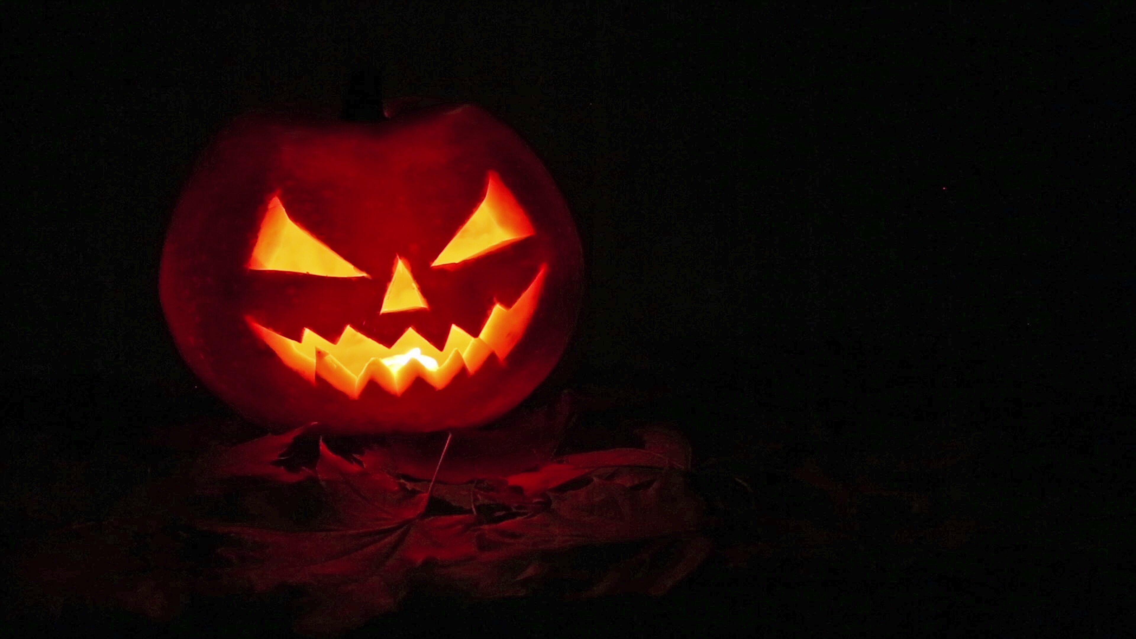 Louisville law enforcement urge trick-or-treat safety ahead of ...