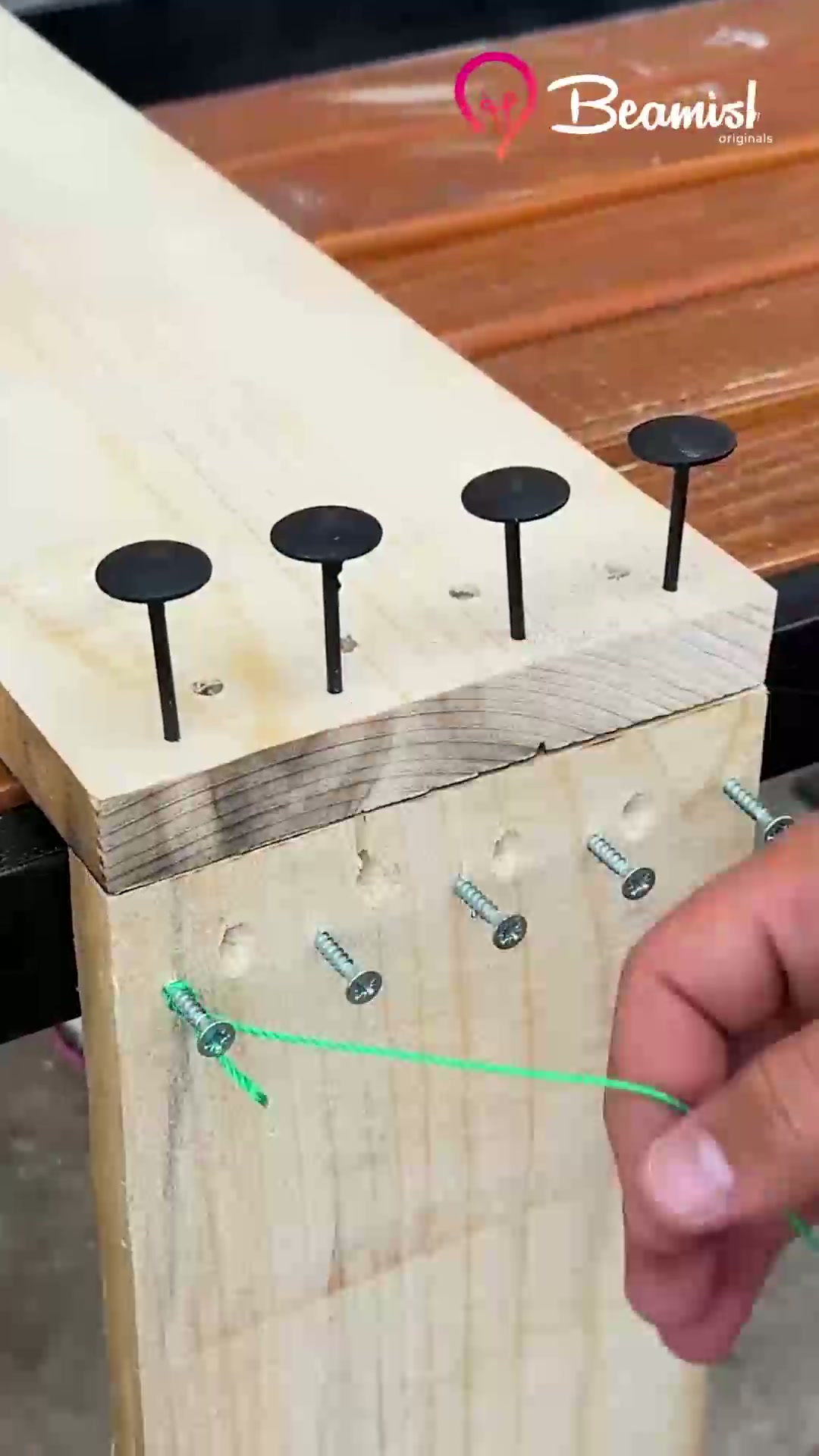 Creative DIY experiments that look complicated but are surprisingly ...