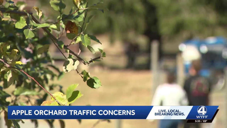 Apples, cider and doughnuts, oh my! Crowds of people flock to orchards ...