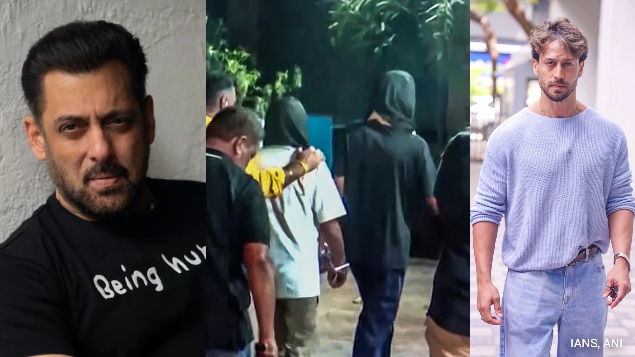 'Salman only tiger in industry': A praise that led to attack on Tiger ...