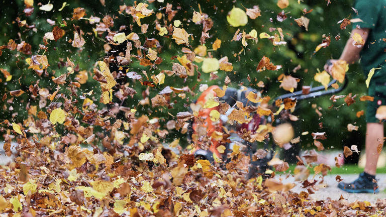 Put your leaves to work this fall