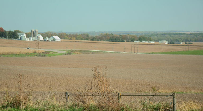 One gut punch after another - Turek questions farm relief as Hinson ...