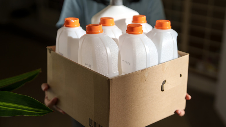 Gardener turns milk jugs into an epic multi-level hydroponic garden
