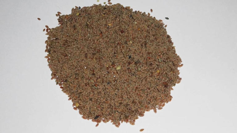 Isabgol vs chia seeds: Which works better for constipation, and how to ...