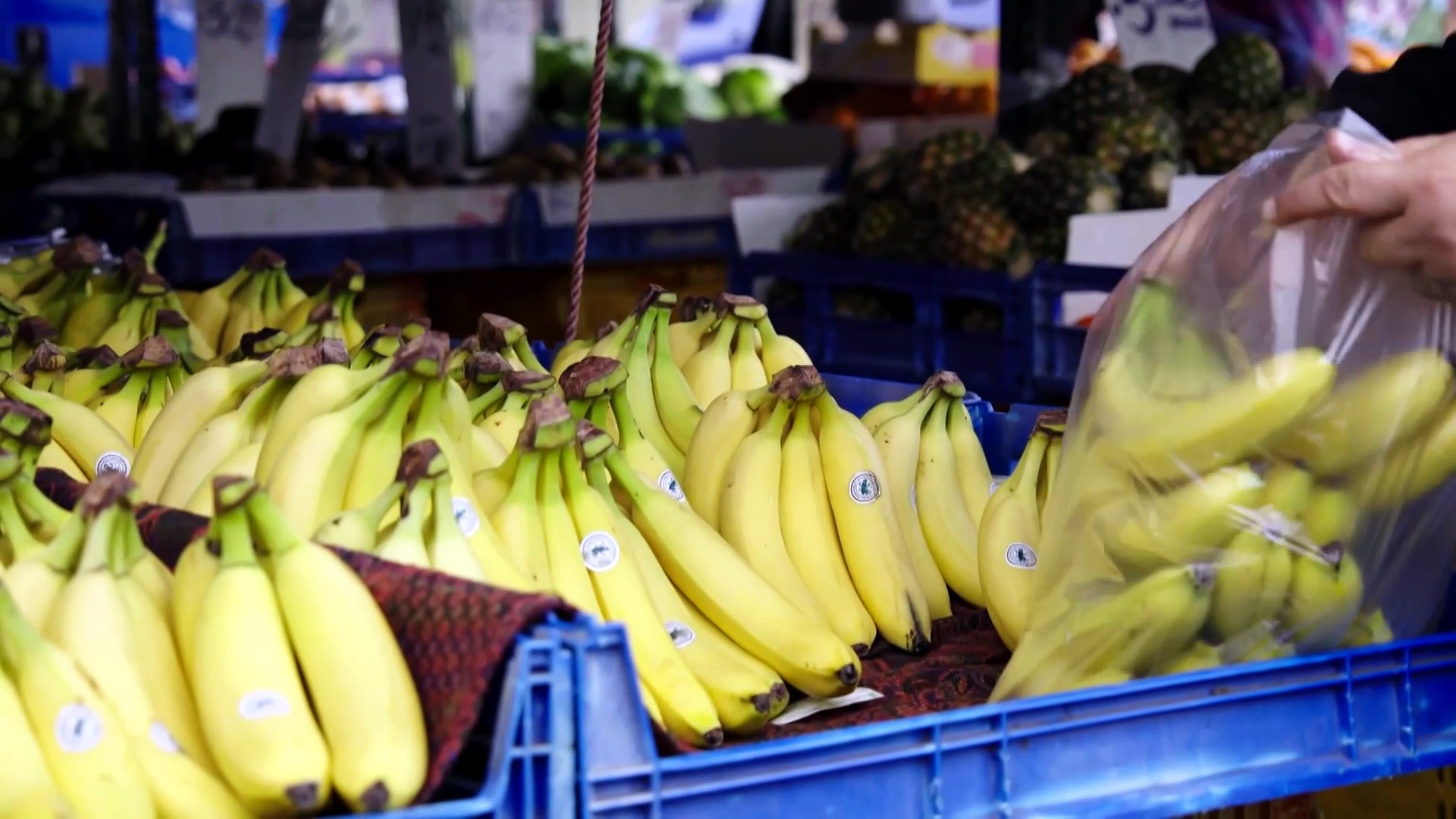 Rising cost of living for New Zealanders prompts increased migration to ...