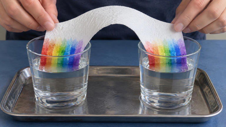 How do you grow a rainbow with paper towels and markers?