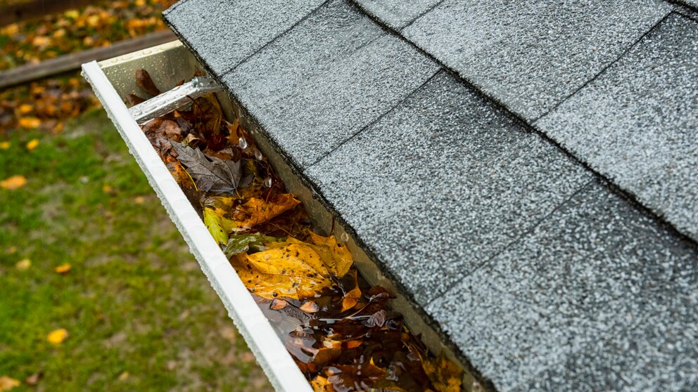 How effective are gutter leaf guards really?