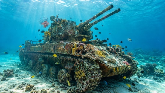 In 1999, Jordan sank an M42 anti-aircraft tank off Aqaba to create an ...