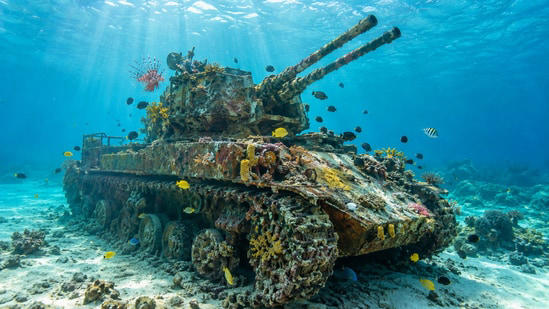 In 1999, Jordan sank an M42 anti-aircraft tank off Aqaba to create an ...