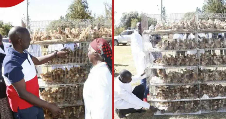 Celeb digest: Wicknell Chivayo’s gift sparks drama, Ruto’s mum stuns at ...