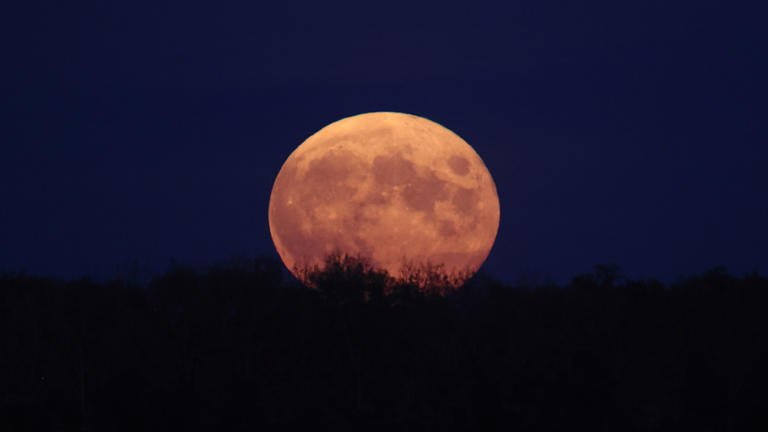 Look up! The Hunter's Moon lights up our night skies this weekend