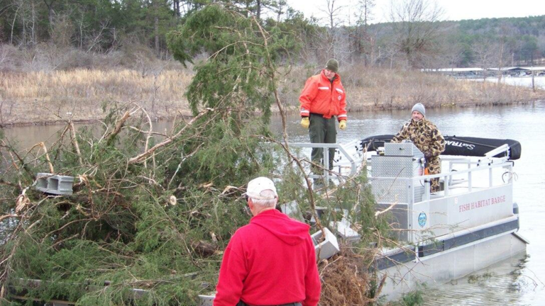 Nebraska workers sink 150 trees in two lakes to create underwater ...