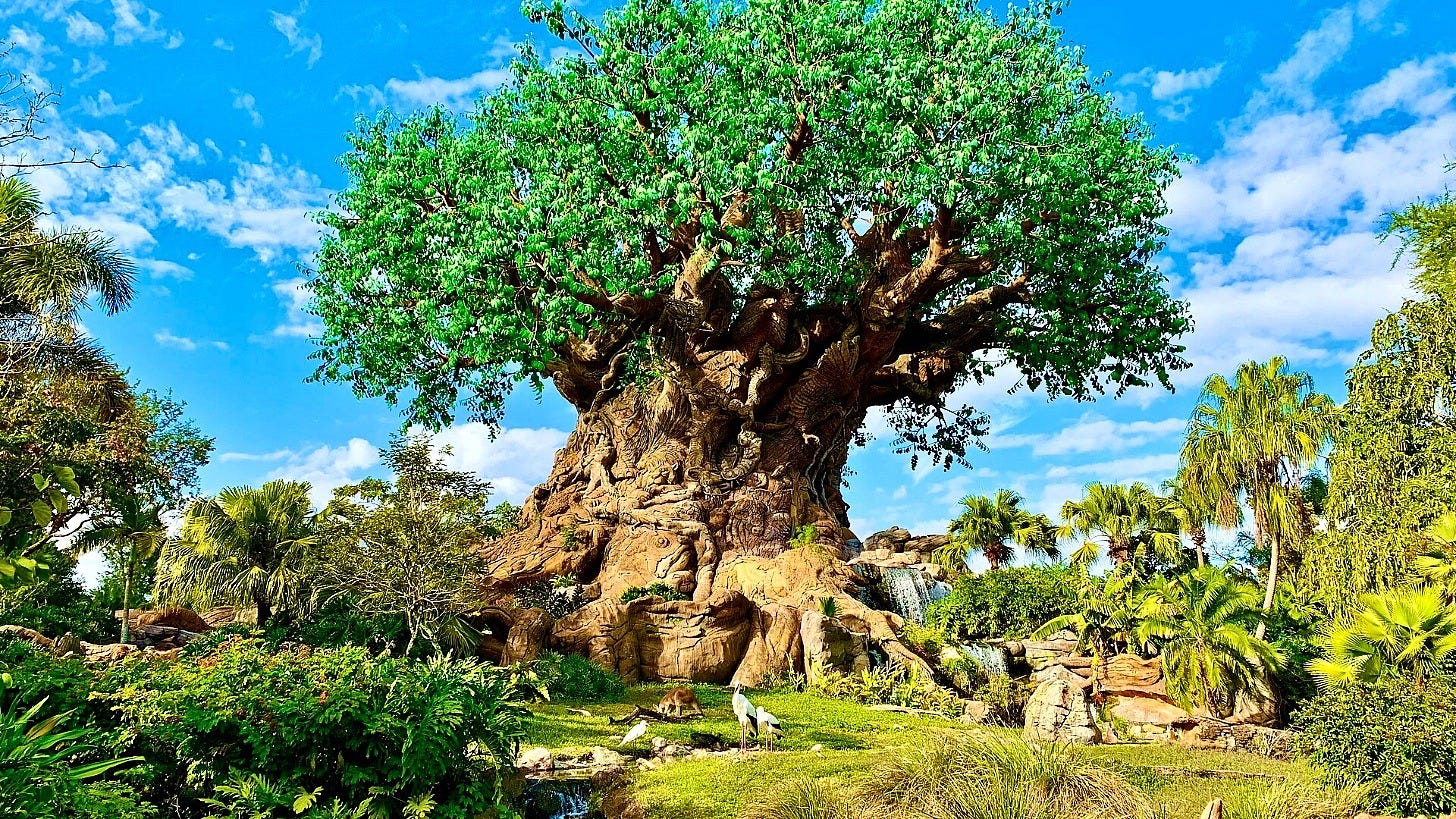 Tree of Life Awakenings return to Animal Kingdom on Nov. 1