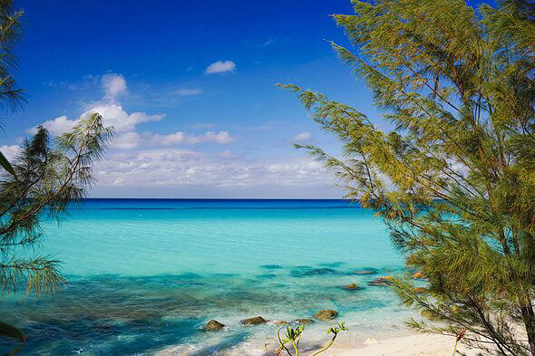 British mum, 36, who drowned in Bahamas trying to rescue children pictured