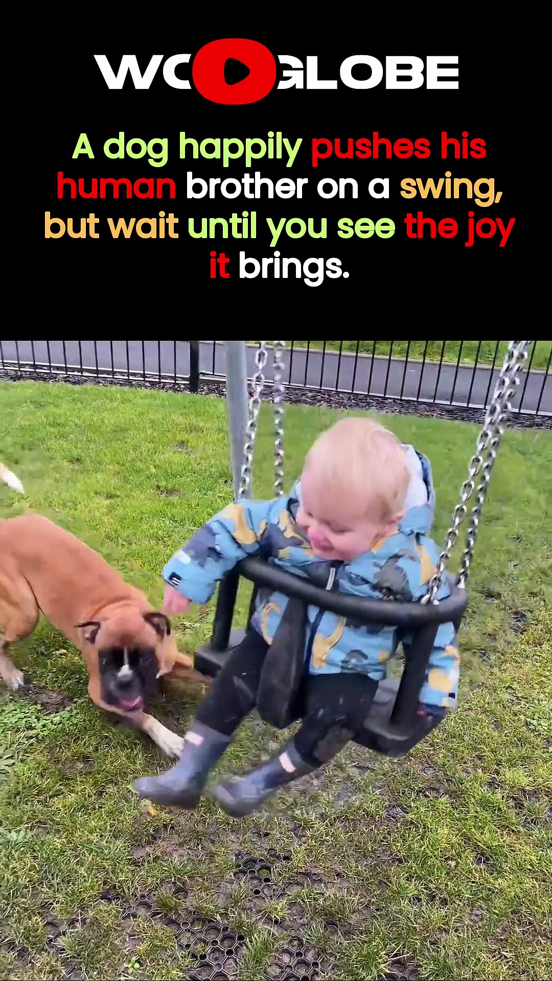 Clever dog makes playtime extra special for his little human friend
