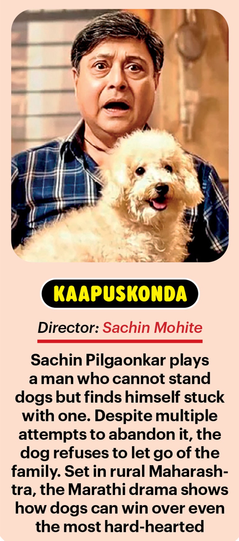 Filmdom's new pet obsession | Animals in films